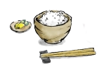 ご飯