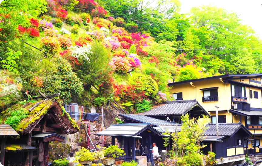 南小国町を知る