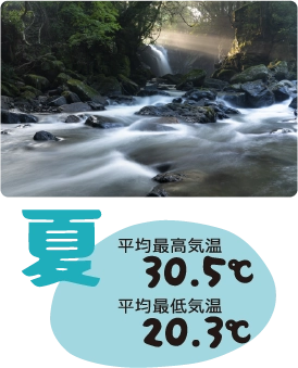夏