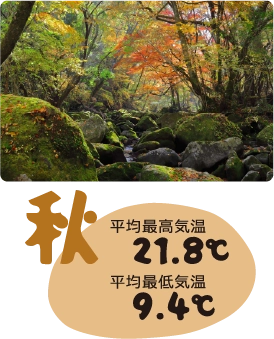 秋