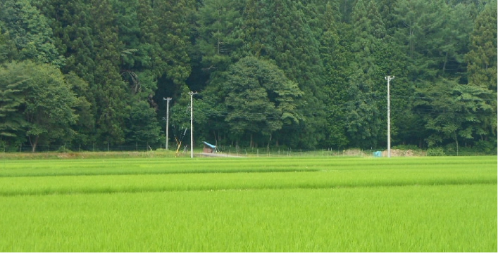 南小国町の田園風景