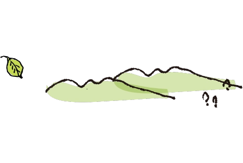 山