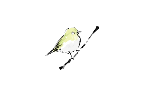 野鳥